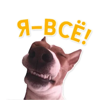 😵 Я-ВСЁ! dog, russian, humor, text, animal telegram sticker