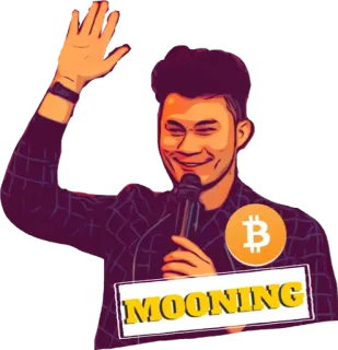 🌙 MOONING криптовалюта, биткоин, финансы, мем, луна, успех telegram sticker