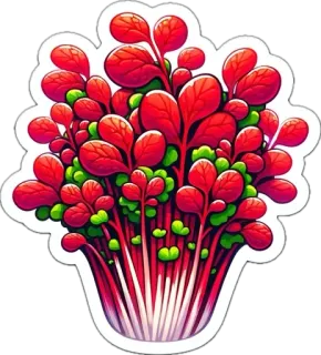 🌱 rosso, foglie, pianta, natura, fogliame whatsapp sticker