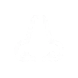 👃