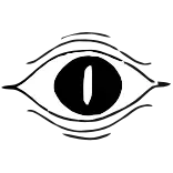 👁