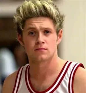 😑 Niall Horan Niall Horan, One Direction, cantante, celebridad, retrato telegram sticker