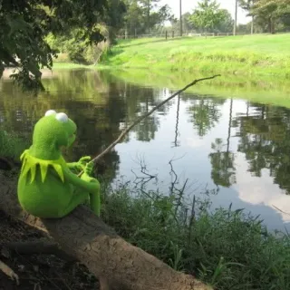 🎣 Kermit Kermit the Frog, fishing, muppet, frog, nature, outdoors telegram sticker