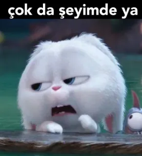 🤷‍♀ çok da şeyimde ya 토끼, 밈, 텍스트, 만화 whatsapp sticker