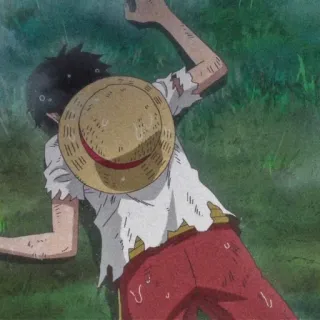 🍞 Monkey D. Luffy One Piece 动漫, 海贼王, 蒙奇·D·路飞, 路飞, 草帽, 被打败 telegram sticker