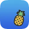 🍍