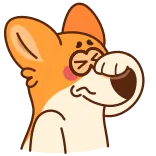 🫢 собака, корги, эмодзи, мультфильм, животное, милый telegram sticker