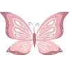 🦋