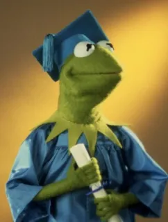 🌟 Kermit Kermit der Frosch, Muppet, Abschluss, Diplom, Abschlussmütze, Talar whatsapp sticker