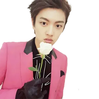 🌹 rose, man, pink suit, gloves, flower, korean, singer, actor telegram sticker