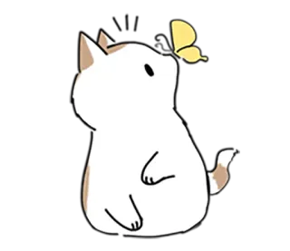 🦋 gatto, farfalla, animale, carino, kawaii telegram sticker