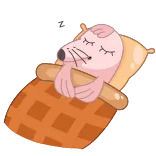 😴 睡觉, 海豹, 床, 可爱, 动物, 卡通 telegram sticker