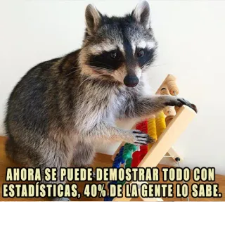 📊 AHORA SE PUEDE DEMOSTRAR TODO CON
ESTADÍSTICAS, 40% DE LA GENTE LO SABE. rakun, statistik, humor, hewan, meme whatsapp sticker