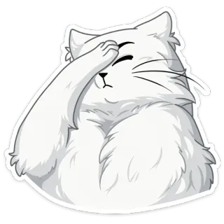 🤦‍♀️ แมว, เอามือก่ายหน้าผาก, อาย, สีขาว, ปุย, สัตว์, มีม, ผิดหวัง telegram sticker