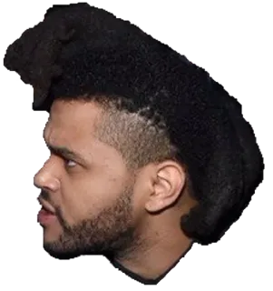 😠 The Weeknd Musik, Sänger, The Weeknd, Künstler, Promi whatsapp sticker