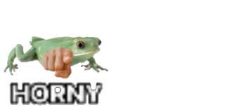 🥵 HORNY frog, pointing, text, humor telegram sticker