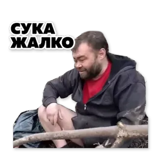 😓 СУКА ЖАЛКО оскорбление, оскорбительный telegram sticker