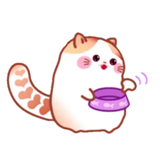 Pochi The Adorable Cat :: @TgSticker telegram stickers