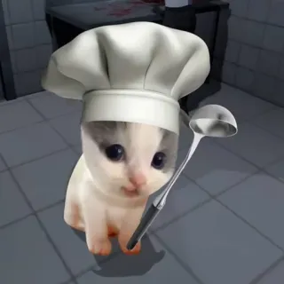 🍽️ 小猫, 猫, 厨师, 勺子, 烹饪, 帽子 telegram sticker