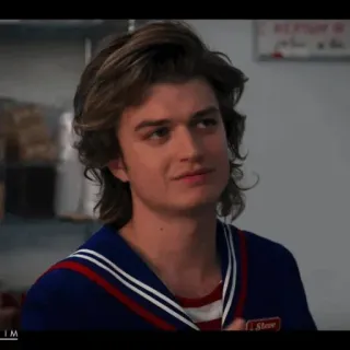 ♠️ Steve Harrington Stranger Things Steve Steve Harrington, Stranger Things, 80er, Charakter, Netflix whatsapp sticker