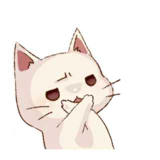 🙅 kot, słodki, naklejka, kawaii, zwierzę telegram sticker