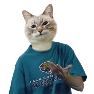 🤨 JACKSON JAGUAR cat, jacksonville jaguars, sports, animal, football, cat with human body telegram sticker