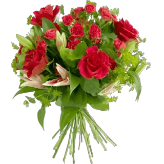 🌹 flowers, roses, bouquet, red, nature, floral whatsapp sticker