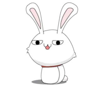 😏 lapin, lapinou, mignon, animal, dessin animé, blanc whatsapp sticker