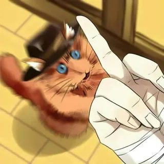 🖕 chat, doigt d'honneur, geste obscène, animal, chapeau telegram sticker