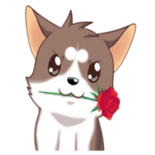 🌹 anjing, anak anjing, imut, bunga, mawar, cinta, romantis, hewan whatsapp sticker