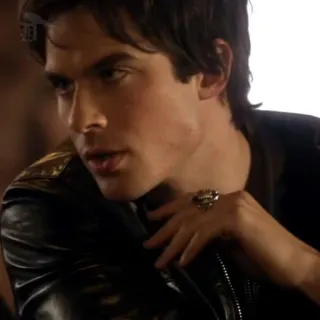 🍸 Damon Salvatore The Vampire Diaries acteur, vampier, knap, tv serie, man telegram sticker