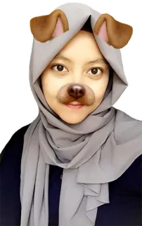 😜 Hundefilter, Gesichtsfilter, Hundeohren, Selfie, Frau, Hijab, Filter telegram sticker