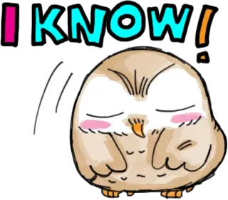 😶 I KNOW! сова, мультфильм, птица, милый, животное, закрытые глаза telegram sticker