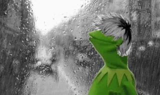 😭 Kermit kermit, frog, sad, rain, meme telegram sticker