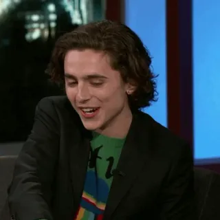 🥀 Timothée Chalamet diễn viên, người nổi tiếng, chân dung, Timothée Chalamet telegram sticker