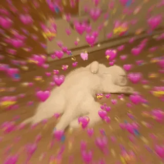 🌿 chó, chó con, tình yêu, trái tim, tình cảm, dễ thương, động vật telegram sticker