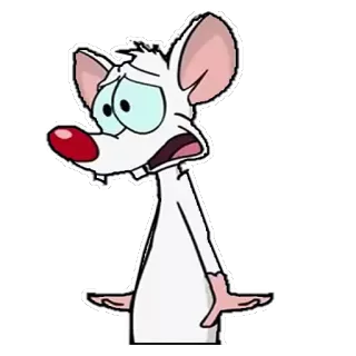 😩 Pinky Pinky and the Brain muis, cartoon, grappig, verdrietig, bezorgd, Pinky en de Hersenen telegram sticker