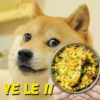 🍛 YE LE !! doge, perro, biryani, comida, plato telegram sticker