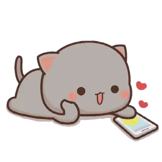 ✨ mèo, dễ thương, động vật, trái tim, tình yêu, điện thoại telegram sticker