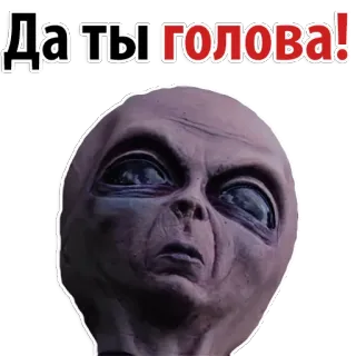 😝 Да ты голова! Alien, Meme, Divertido, Criatura, Extraterrestre telegram sticker