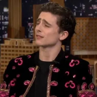 😒 Timothée Chalamet ator, celebridade, homem, retrato telegram sticker