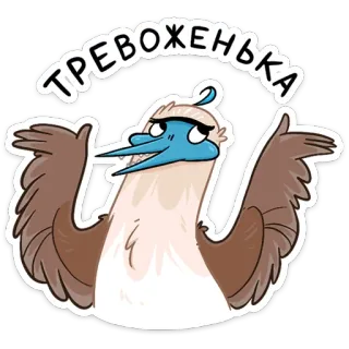 😬 ТРЕВОЖЕНЬКА птица, олуша, смешной, мультфильм, голубоногая олуша, наклейка, Тревоженка telegram sticker