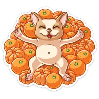 🤤 cachorro, laranjas, fruta, fofo, feliz, chihuahua telegram sticker