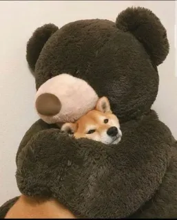 ☁ anjing, Shiba Inu, boneka beruang, imut, peluk, boneka telegram sticker