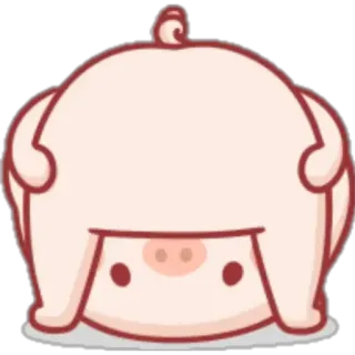 🍼 pig, animal, cute, cartoon whatsapp sticker