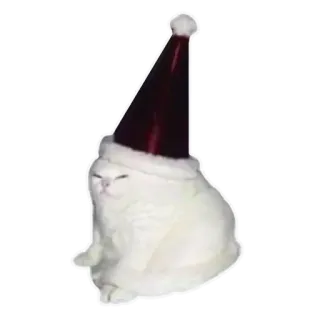 🧑‍🎄 chat, noël, bonnet de noël, animal, mignon, festif telegram sticker