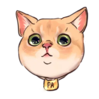 Kotenok RA @dein_art whatsapp stickers