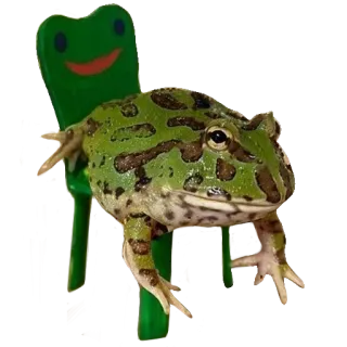 🪑 kikker, stoel, dier, amfibie, groen telegram sticker