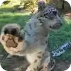 ☺