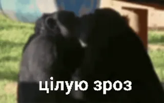 зроз :: @fStikBot whatsapp stickers
